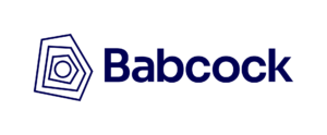 Babcock Primary Mono Indigo Linear RGB